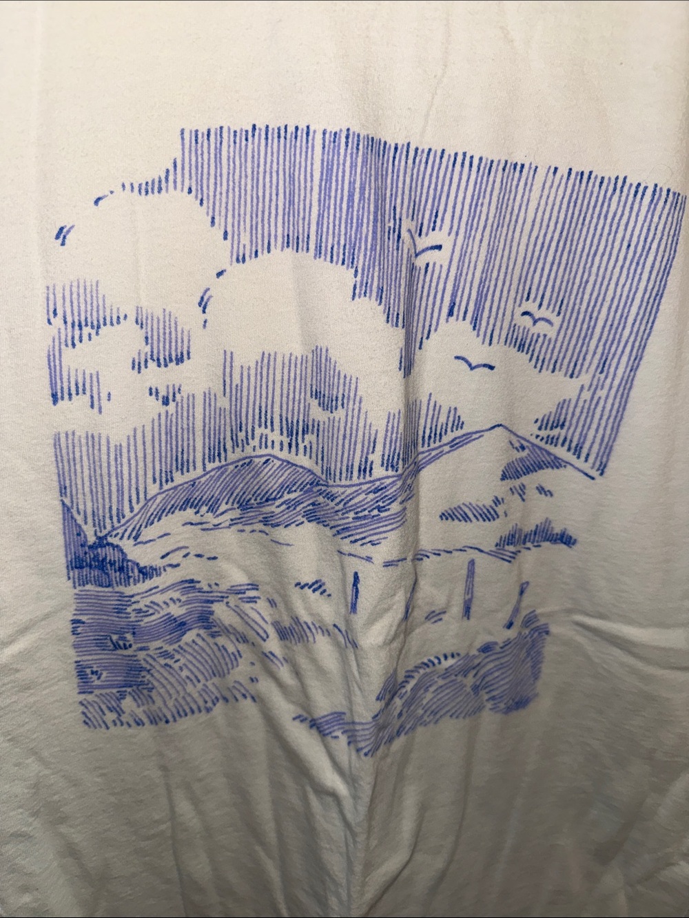 Caamp 2023 Blue and Cream Tour Shirt
